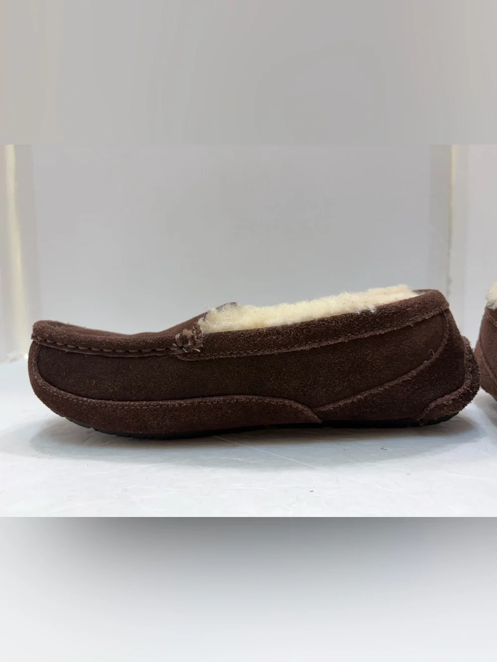 UGG Kids/Youth Ascot Slipper Espresso Brown Size US 4 (Womens US 6 / EU 34)